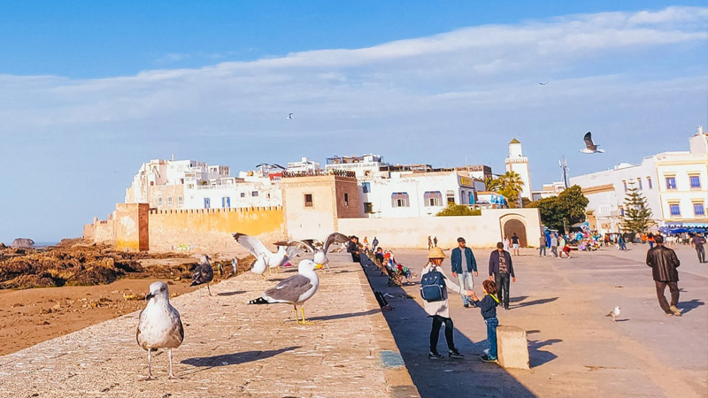 Vivre a Essaouira au Maroc